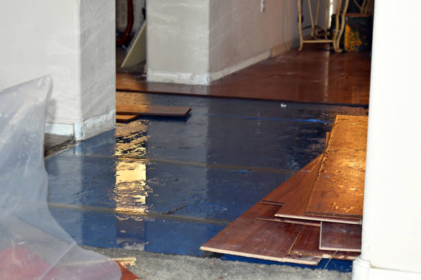 Professional Sewage Cleanup technician working in Morton, TX
